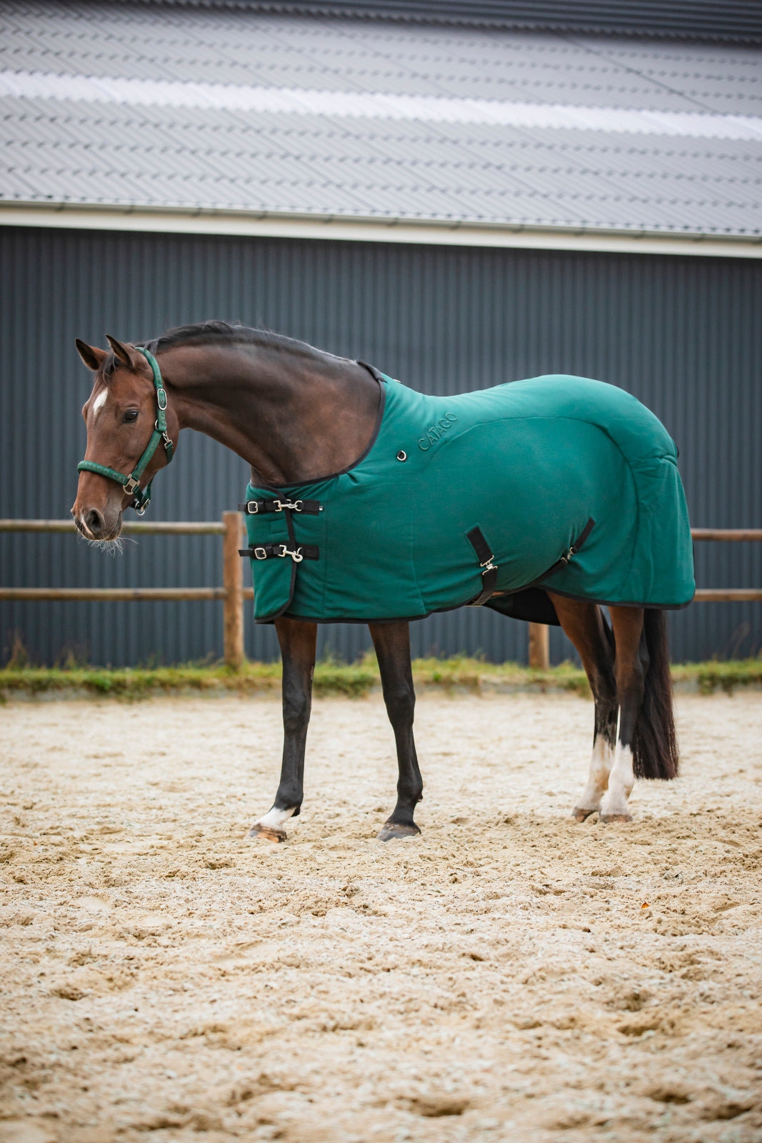 Catago FIR-TECH tapijt