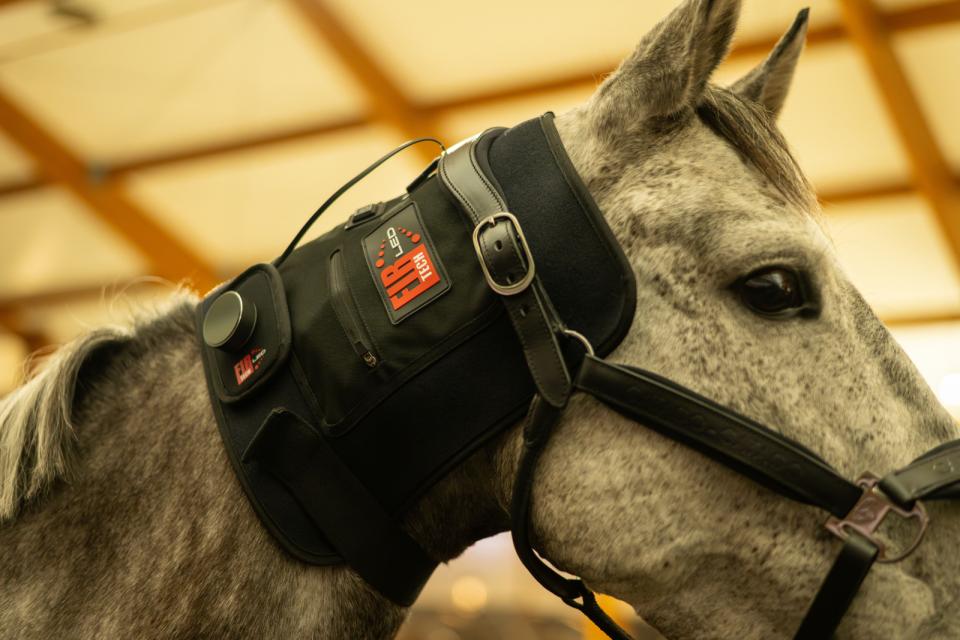 Catago FIR-TECH LED Therapy Pad Small LED pees pezen blessure dierenarts licht infrarood light billen spieropbouw rug knieen hals nek hoofd borst bevestiging makkelijk benen paard pony verschillende aan knop laser ontsteking gat herstellen ontstoken stal beschermers klitterband bevestigen stableboots circulatie magnetisch doorbloeding artrose rust training relaxe ontspannen massage cooling koeling ijs ice gebroken recuptex magneet aan mensen honden knop standen programma
