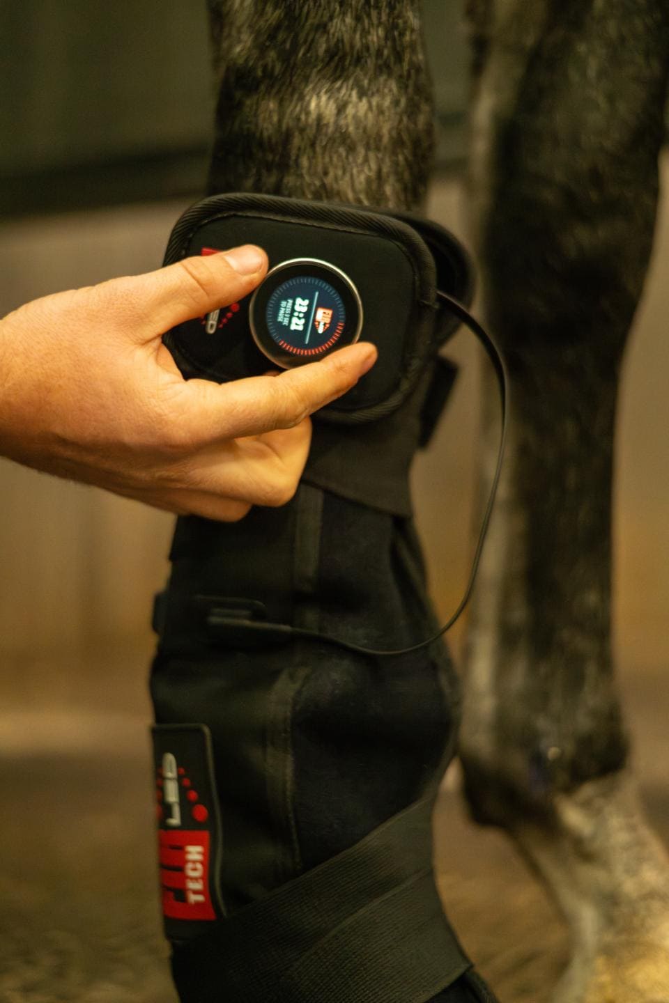 Catago FIR-TECH LED Therapy Pad Small LED pees pezen blessure dierenarts licht infrarood light billen spieropbouw rug knieen hals nek hoofd borst bevestiging makkelijk benen paard pony verschillende aan knop laser ontsteking gat herstellen ontstoken stal beschermers klitterband bevestigen stableboots circulatie magnetisch doorbloeding artrose rust training relaxe ontspannen massage cooling koeling ijs ice gebroken recuptex magneet aan mensen honden knop standen programma