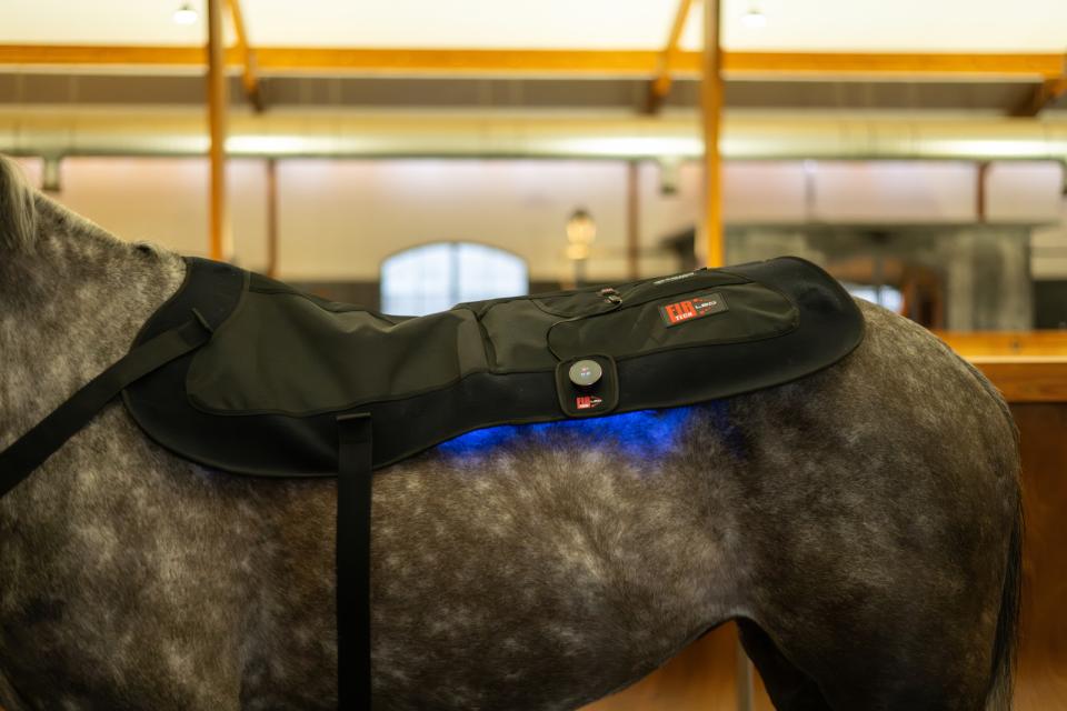 Catago FIR-TECH LED Therapy Pad Large groot LED pees pezen blessure dierenarts licht infrarood light billen spieropbouw rug knieen hals nek hoofd borst bevestiging makkelijk benen paard pony verschillende aan knop laser ontsteking gat herstellen ontstoken stal beschermers klitterband bevestigen stableboots circulatie magnetisch doorbloeding artrose rust training relaxe ontspannen massage cooling koeling ijs ice gebroken recuptex magneet aan mensen honden knop standen programma aan paard rug