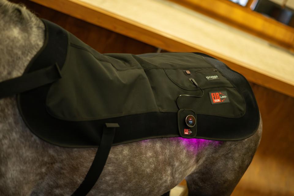 Catago FIR-TECH LED Therapy Pad Large groot LED pees pezen blessure dierenarts licht infrarood light billen spieropbouw rug knieen hals nek hoofd borst bevestiging makkelijk benen paard pony verschillende aan knop laser ontsteking gat herstellen ontstoken stal beschermers klitterband bevestigen stableboots circulatie magnetisch doorbloeding artrose rust training relaxe ontspannen massage cooling koeling ijs ice gebroken recuptex magneet aan mensen honden knop standen programma aan paard rug