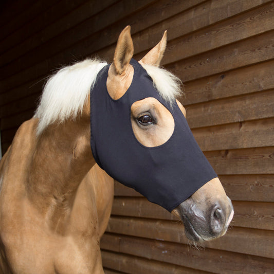 Catago FIR-Tech mask