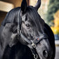 Catago FIR-Tech Mash halter