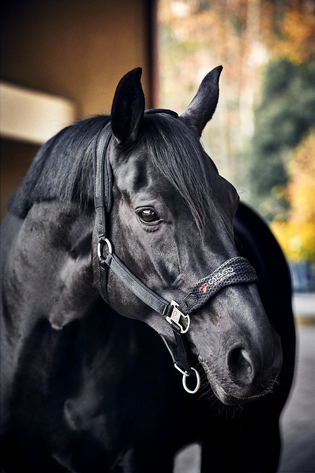 Catago FIR-Tech Mash halter